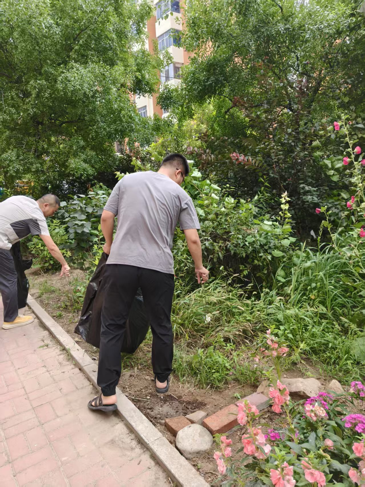 清扫2.jpg